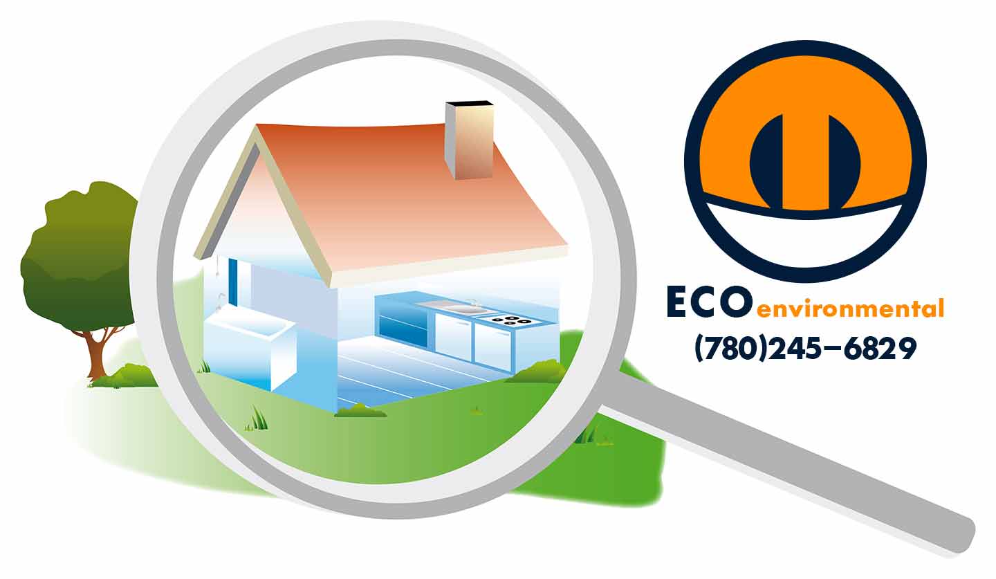 Edmonton Asbestos, flood, mould and bacteria removal services